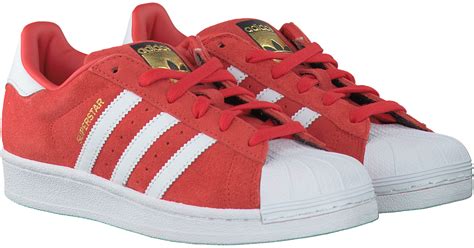 Adidas Rood online kopen 